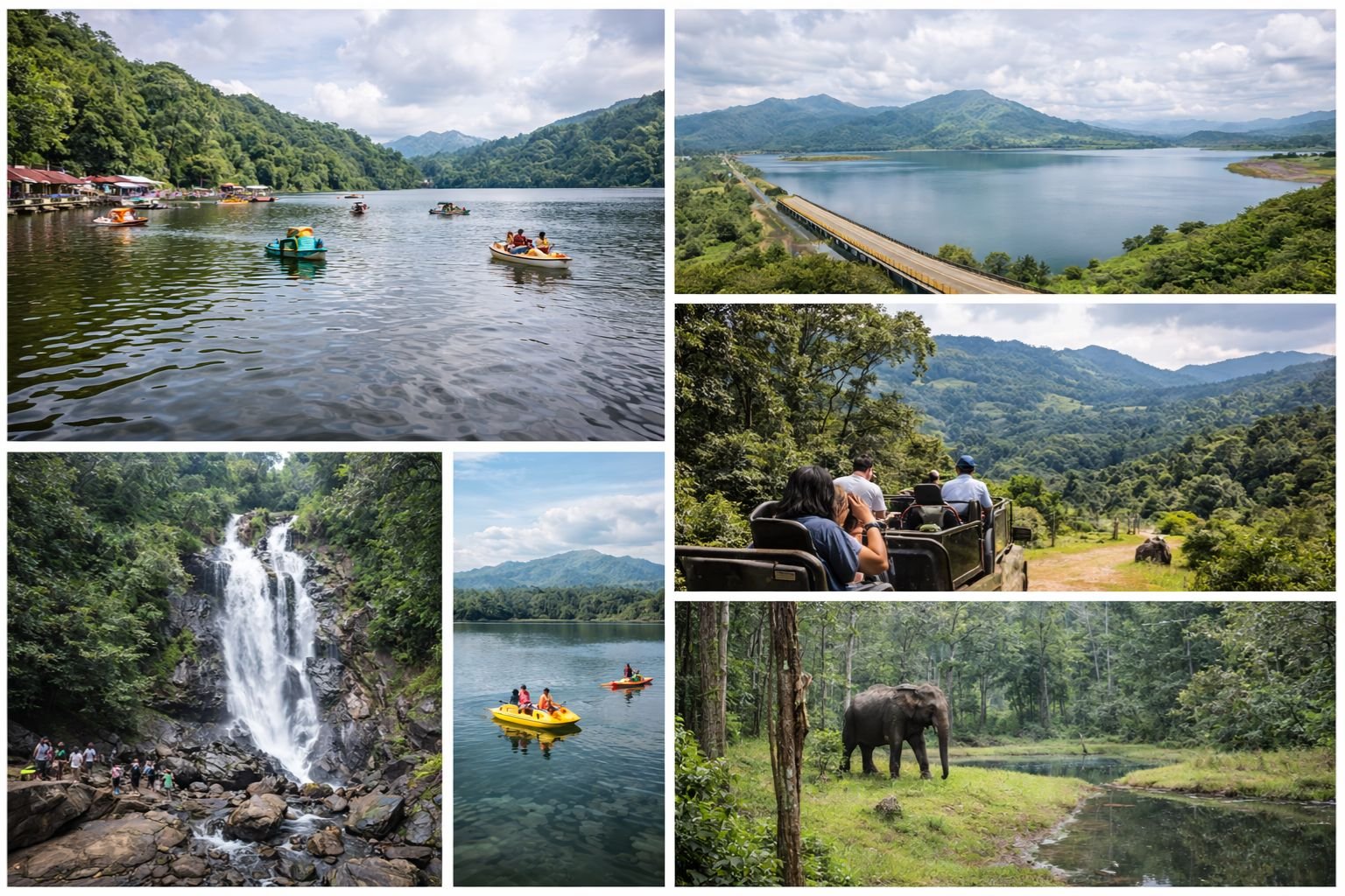 Wayanad package starting from Coorg